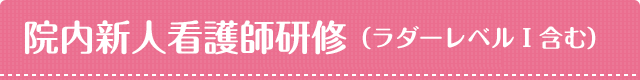 院内新人看護師研修（ラダーレベル1含む）